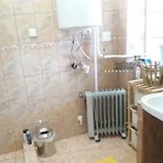 Harsfak * Mezokovacshaza