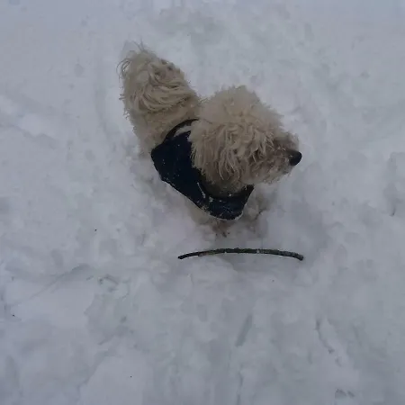 Harsfak Prázdninový dům Mezokovacshaza