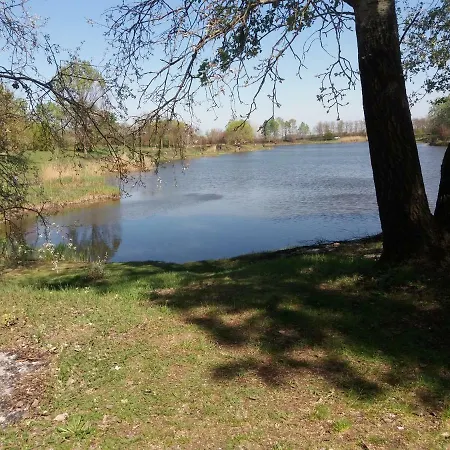 Harsfak * Mezokovacshaza