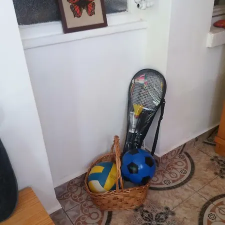 Hársfák Mezokovacshaza