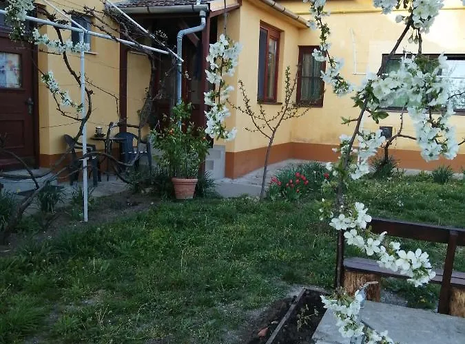 Harsfak Mezokovacshaza